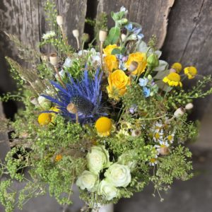 Gelbe Sommerwiese